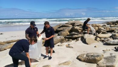 Beach clean up - De Hoop Nature Reserve 3