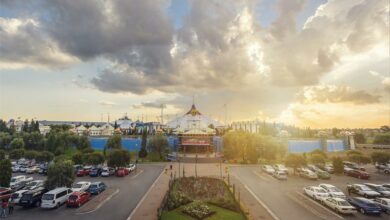 CARNb1003-8404-carn_44142