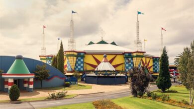 CARNb1200-8729-carn_00944