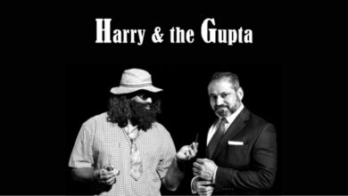 carnival-city-harry-and-the-gupta.jpg.sunimage.1400.525
