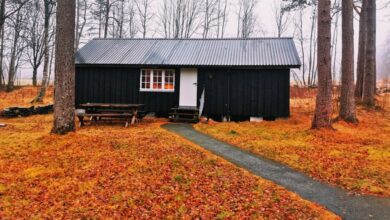 container home feature