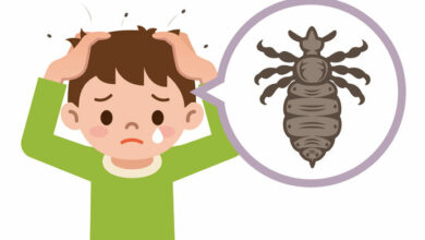 Critter alert: What to do if your child has lice