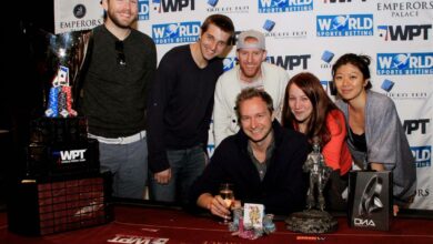 Dylan & Friends (Medium)