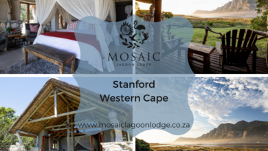 ElanaWagner-02-03-2022-Travel-BidOnLagoon.1