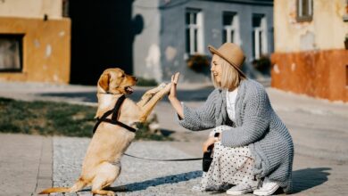 ElanaWagner-04-03-2022-Pets-EmotionalSupport.2