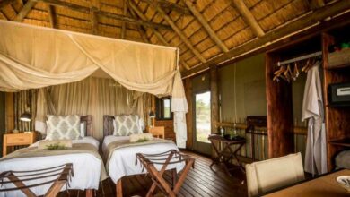 ElanaWagner-09-03-2022-Travel-BidOnTreeCamp.1