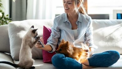 ElanaWagner-12-11-2021-pets-Costs.2