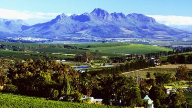 ElanaWagner-13-04-2022-Travel-Stellenbosch.1
