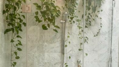 ElanaWagner-13-10-2021-Decor-IndoorPlants.1 (Medium)