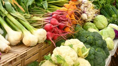 ElanaWagner-23-05-2022-Health-EatingInSeason.1 (Medium)