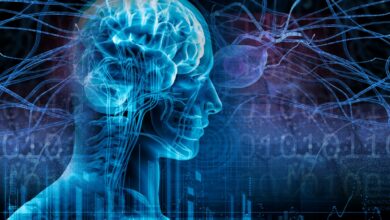 epilepsy-graphic (Medium)