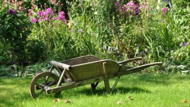 Gardening