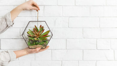 Help your child make a DIY Glass terrarium
