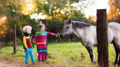 How to make the most of a short, local family break