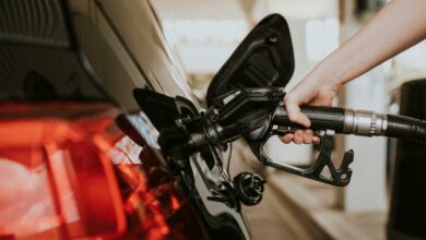 image-from-rawpixel-id-3279992-jpeg