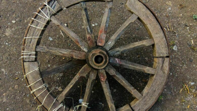 Indian traditional wheel of bullock cart.