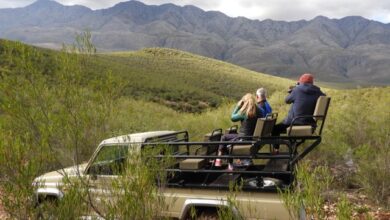 Karoo