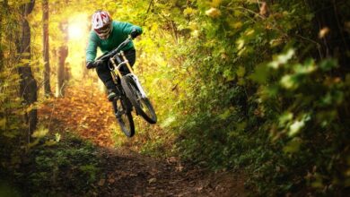 Mountainbiker,Rides,In,Autumn,Forest