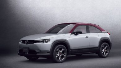 mx-30_100th_l_1800x1800