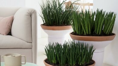 natural air freshners