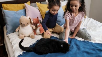 pexels-cottonbro-6864014