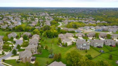 pexels-david-mcbee-1486785 (1)