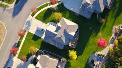 pexels-david-mcbee-1546166 (1)