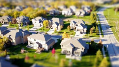 pexels-david-mcbee-1546168 (1)