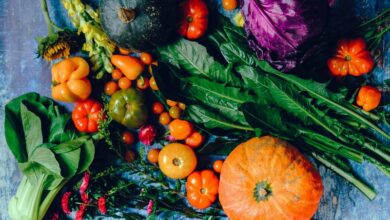 pexels-ella-olsson-1458694