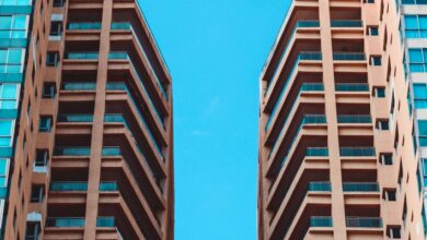 pexels-foteros-783745