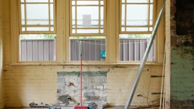 pexels-laurie-shaw-804392