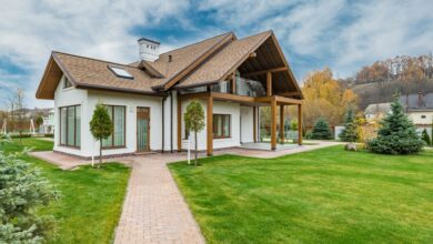 pexels-max-vakhtbovych-5997993 (1)