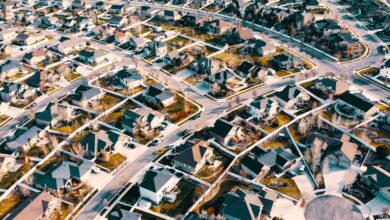 pexels-michael-tuszynski-2157401