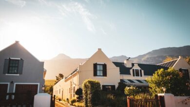 pexels-myburgh-roux-3081701