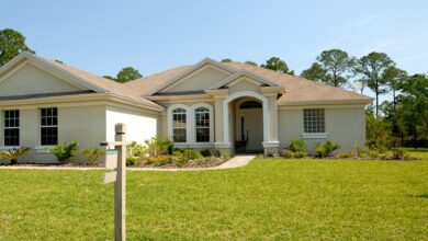 pexels-pixabay-210617 (1)