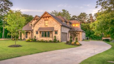 pexels-pixabay-259588