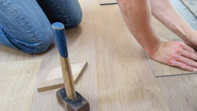 pexels-skitterphoto-1388944