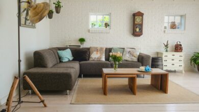 pexels-skitterphoto-584399 (1)