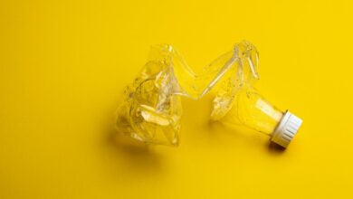 pexels-stas-knop-3457243