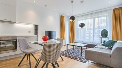 pexels-vecislavas-popa-1571453