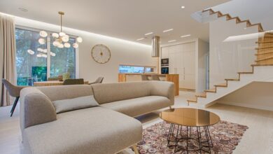 pexels-vecislavas-popa-1571460