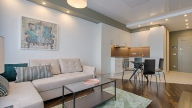 pexels-vecislavas-popa-1643383