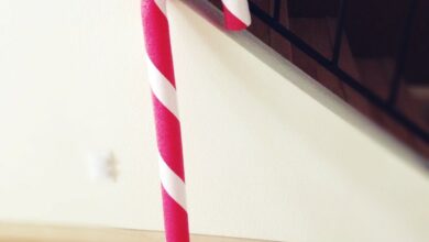 pool noodle (Medium)