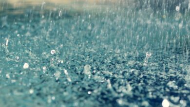 rain
