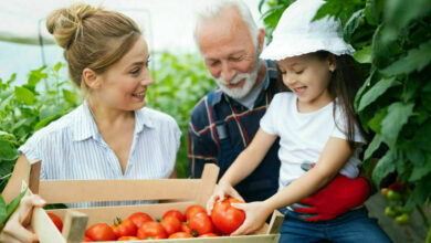 Reasons for your child to eat organic
