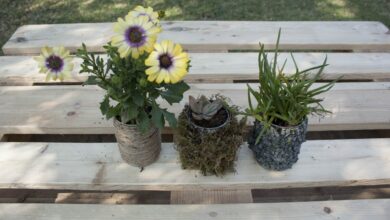 rialienfurstenberg-22-05-lifestyle and kids-kids DIY - photo main