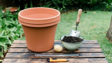 rialienfurstenberg-24-04-2021-lifestyle-kids DIY-photo-main (Medium)