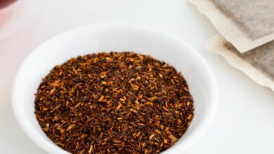 rialienfurstenberg-25-03-2021-beauty-rooibos beauty-photo