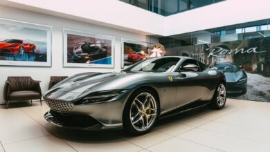 roma-local-shoot-1_1800x1800-567429