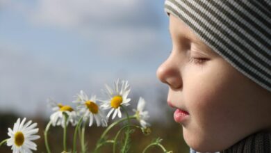 Sensory integration dysfunction explained